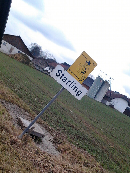Starling, Austria